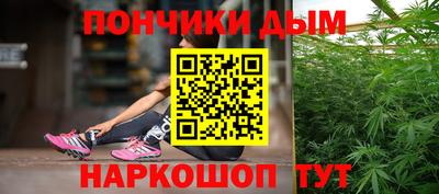 индика Краснокаменск