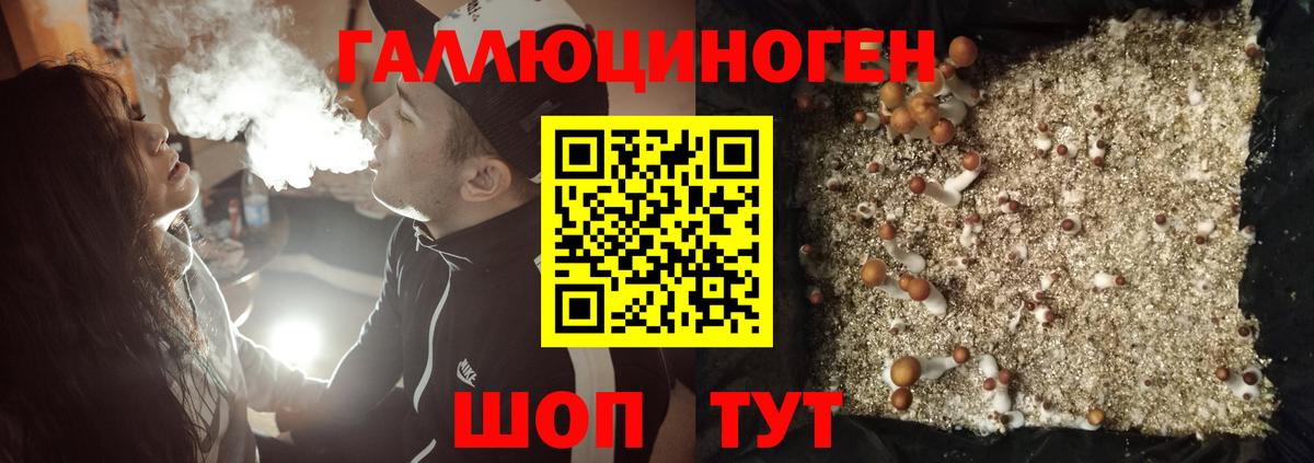 Псилоцибиновые грибы MAGIC MUSHROOMS  Вход с VPN  Клинцы 